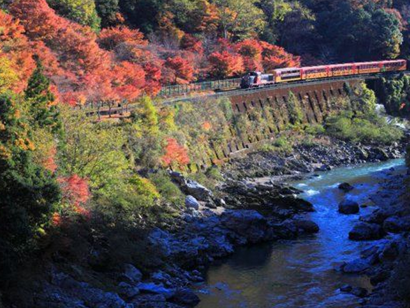 大阪+双古都+富士山+东京6晚7日游